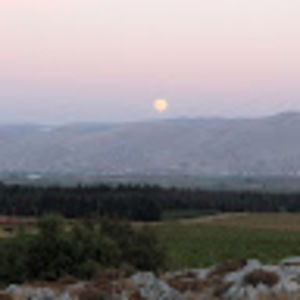 Meet your Posher, Monika